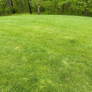 Meet your Posher, Keith